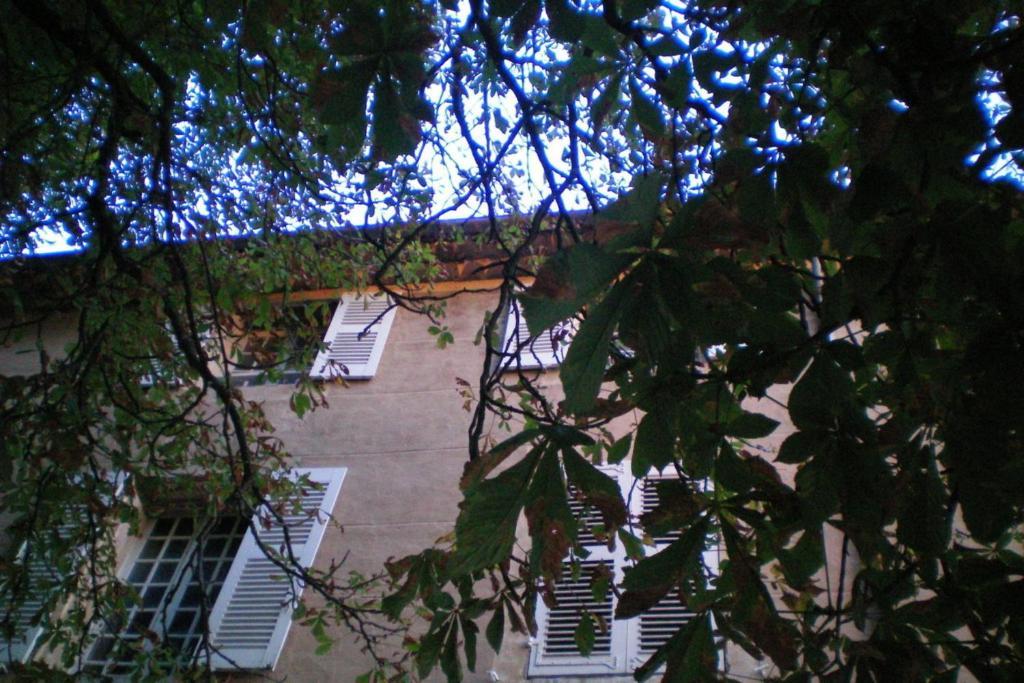 B&B Domaine Le Clos Du Pavillon Brignoles Bagian luar foto